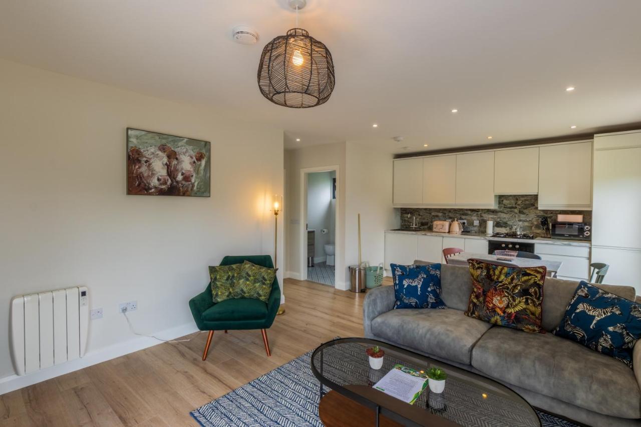 Отель Boyne View House Трим Экстерьер фото